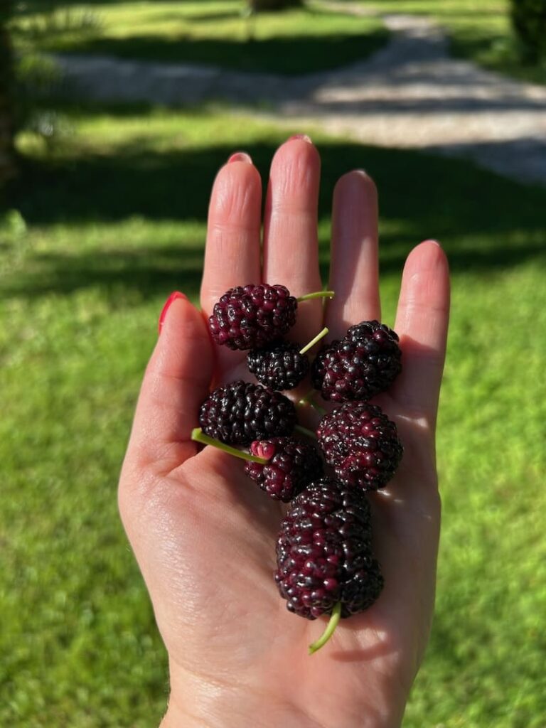 Samoświadomość - klucz do lepszego życia Mocne Strony Naturalnie Praktyczne metody rozwijania samoświadomości